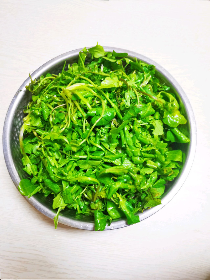 Trời nồm ẩm, luân p…