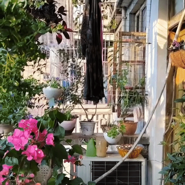 Ng&ocirc;i nh&agrave; 40 năm tuổi của người phụ nữ trung ni&ecirc;n khiến cộng đồng mạng phải thốt l&ecirc;n: Đ&aacute;ng sống v&ocirc; c&ugrave;ng- Ảnh 10.