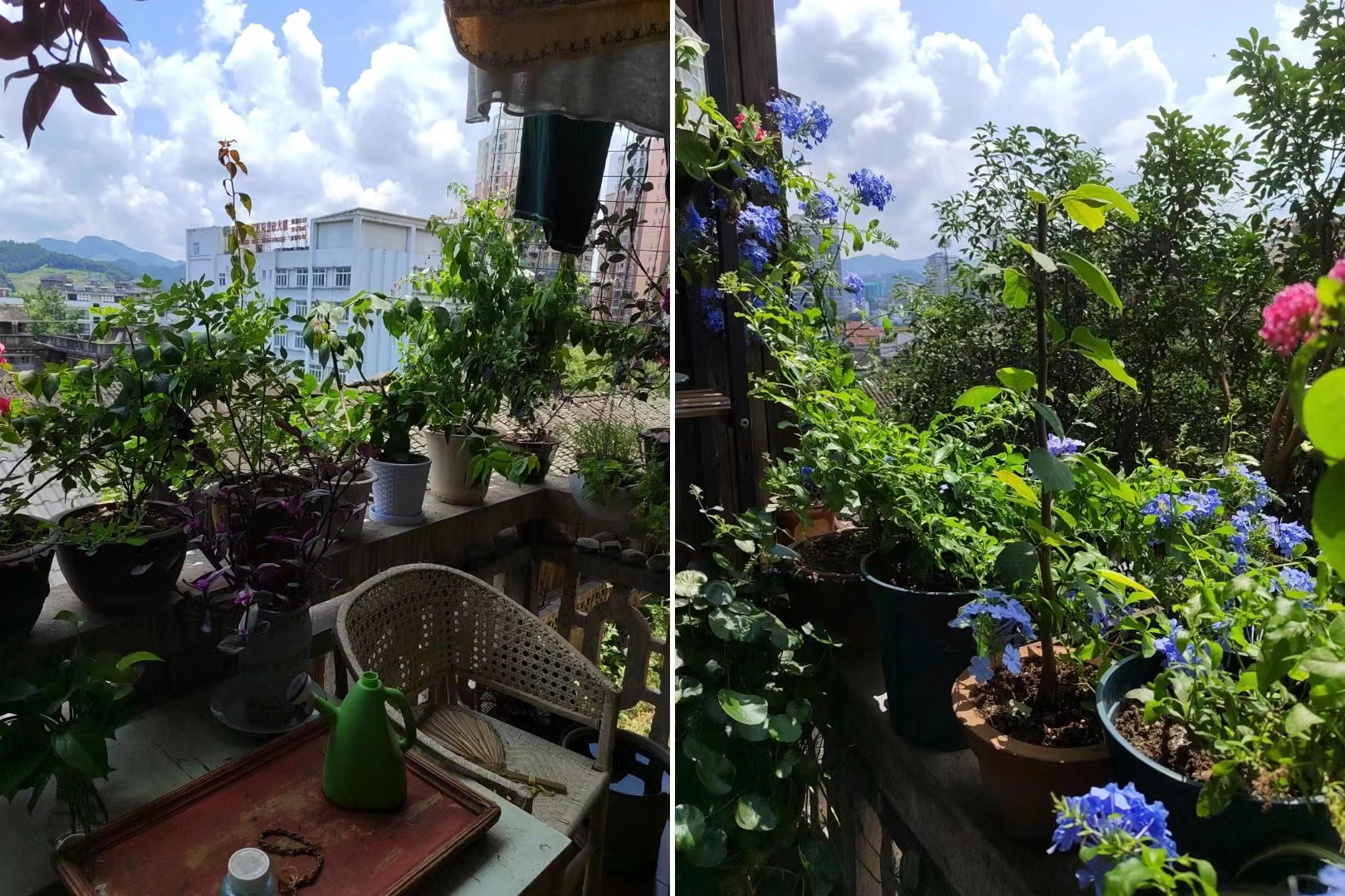 Ng&ocirc;i nh&agrave; 40 năm tuổi của người phụ nữ trung ni&ecirc;n khiến cộng đồng mạng phải thốt l&ecirc;n: Đ&aacute;ng sống v&ocirc; c&ugrave;ng- Ảnh 13.