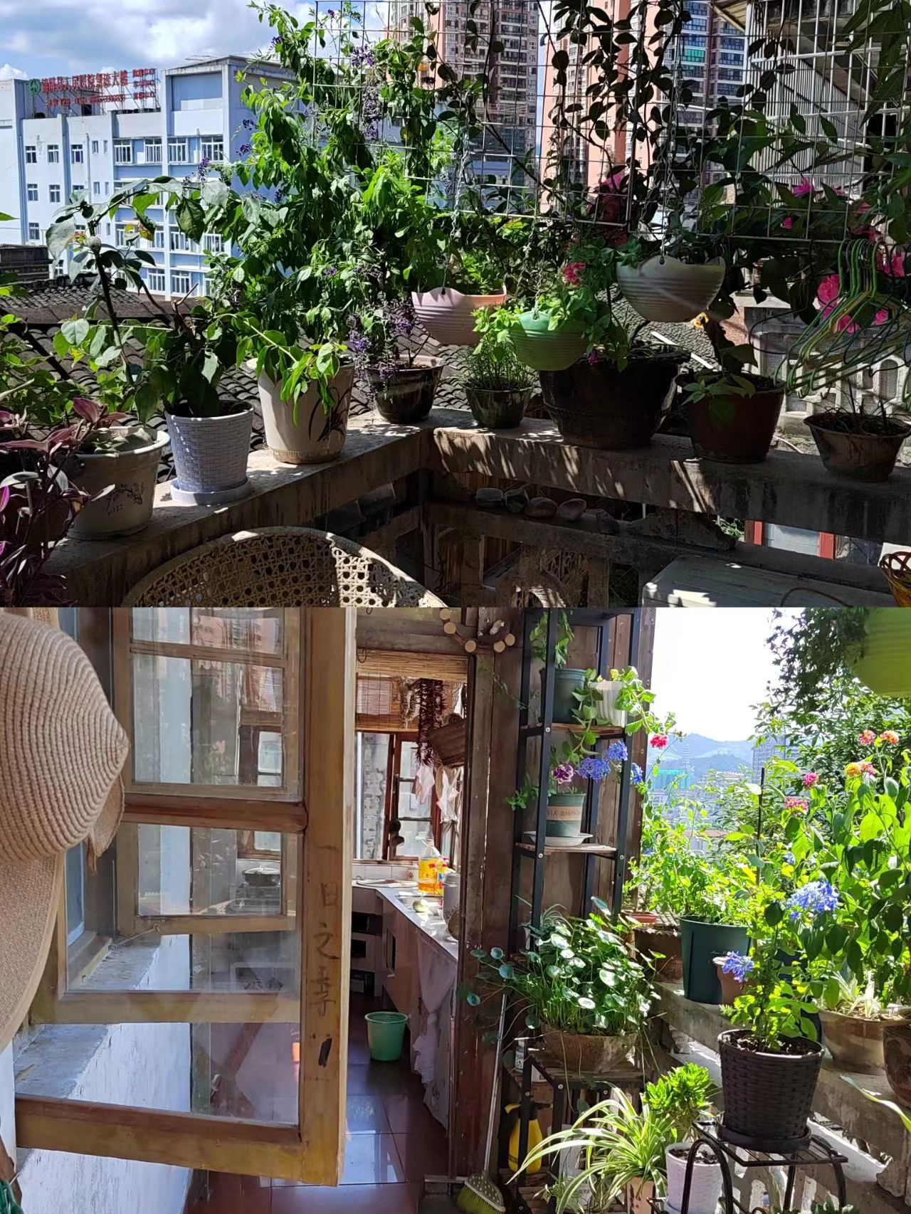 Ng&ocirc;i nh&agrave; 40 năm tuổi của người phụ nữ trung ni&ecirc;n khiến cộng đồng mạng phải thốt l&ecirc;n: Đ&aacute;ng sống v&ocirc; c&ugrave;ng- Ảnh 11.