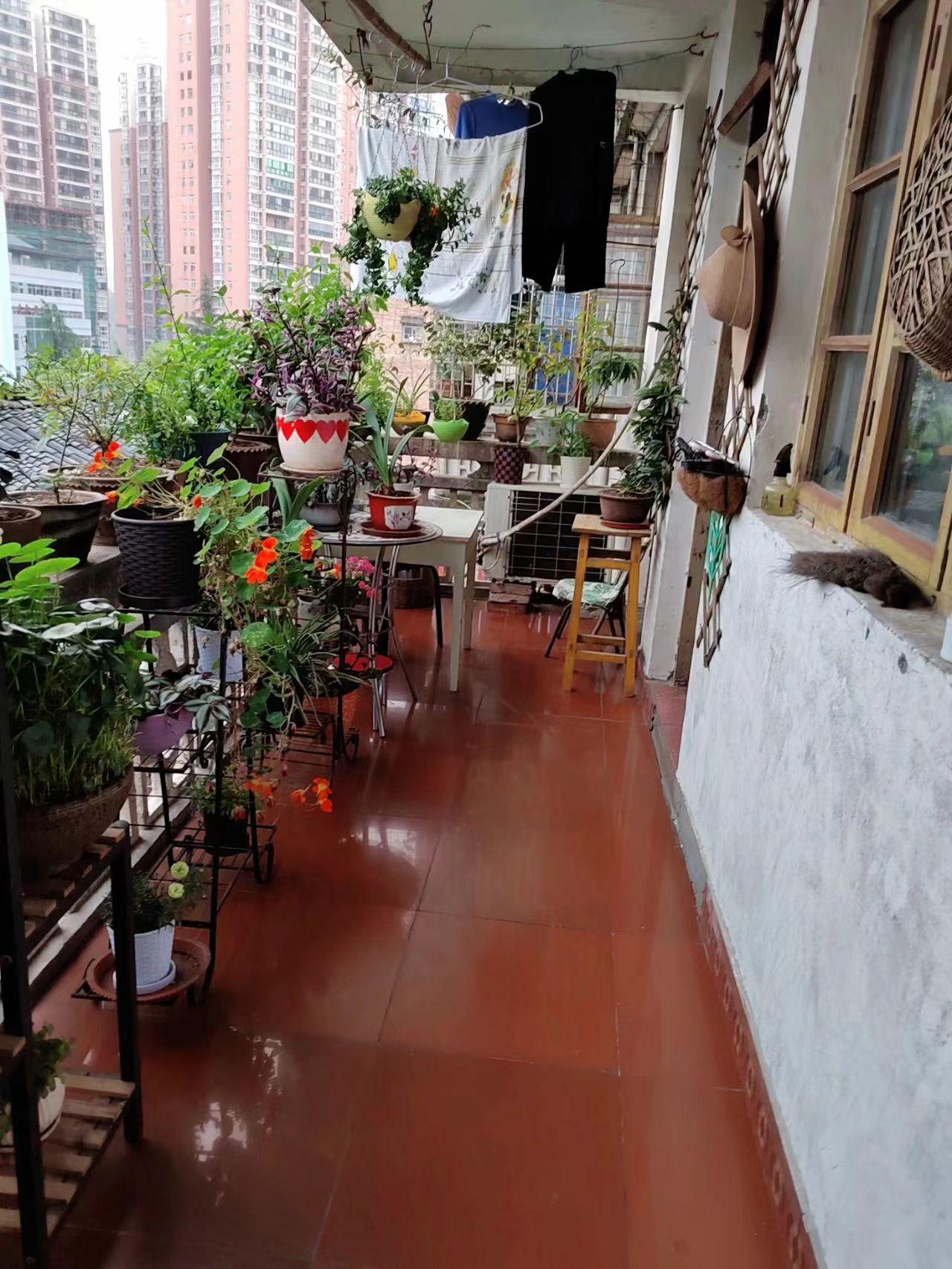 Ng&ocirc;i nh&agrave; 40 năm tuổi của người phụ nữ trung ni&ecirc;n khiến cộng đồng mạng phải thốt l&ecirc;n: Đ&aacute;ng sống v&ocirc; c&ugrave;ng- Ảnh 21.