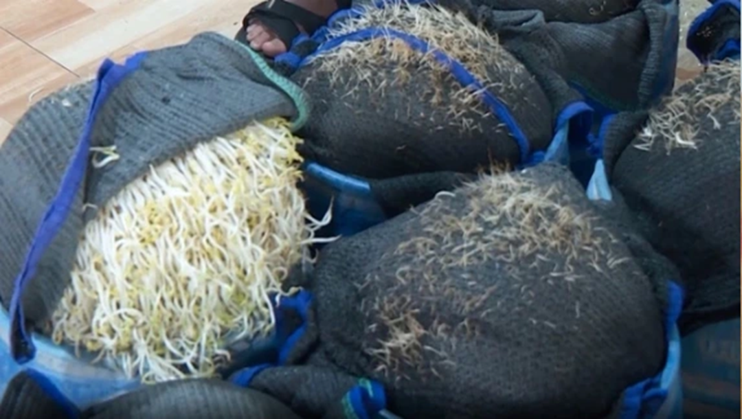 Loại rau dễ "ngậm" h&oacute;a chất, c&aacute;ch nhận biết cần nắm r&otilde;- Ảnh 2.