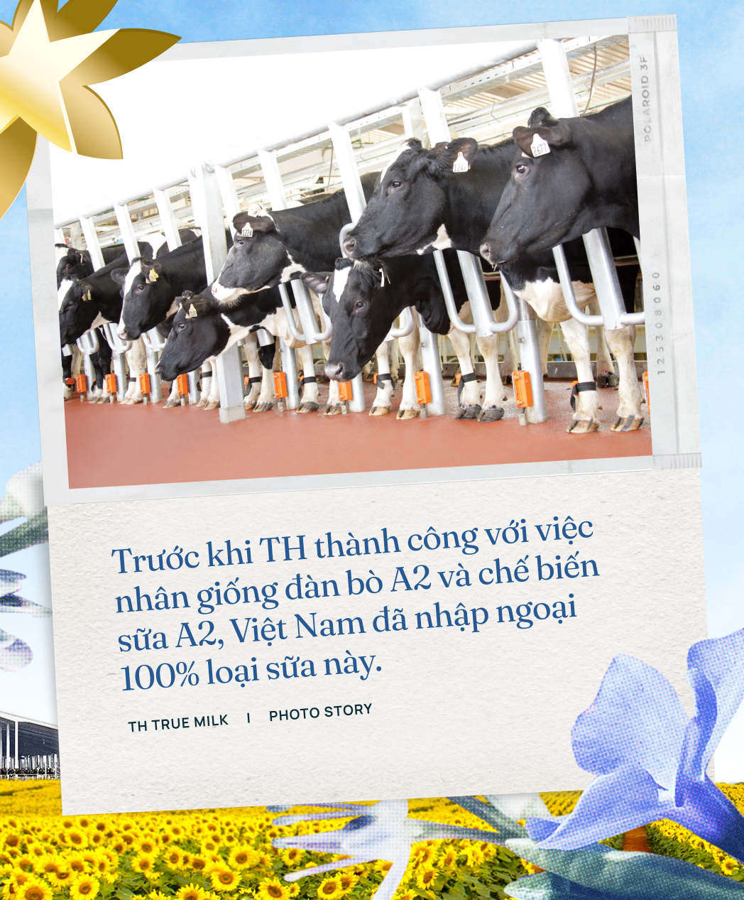 Tầm nh&igrave;n đi trước h&agrave;ng thập kỷ v&agrave; 9 điều tạo n&ecirc;n vị thế TH true MILK tại Việt Nam- Ảnh 7.