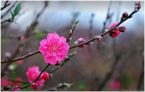 Sau Tết &Acirc;m lịch, chứng kho&aacute;n Việt Nam thường biến động ra sao?- Ảnh 1.