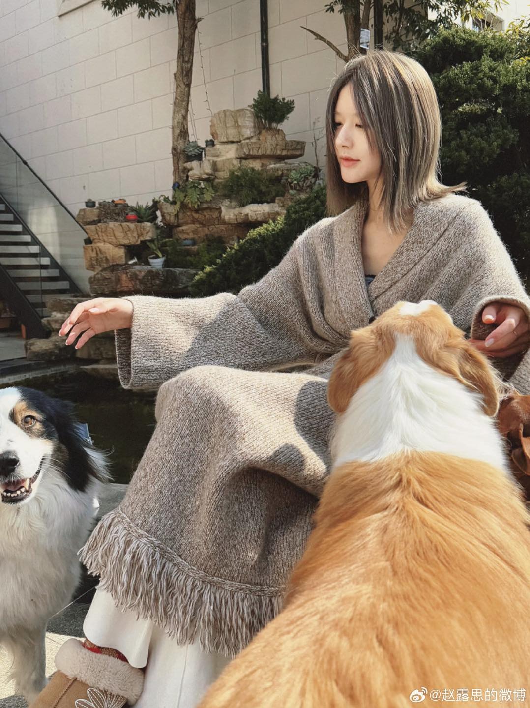 Triệu Lộ Tư lộ diện với tình trạng bất ngờ giữa lúc hàng triệu người đuổi khỏi showbiz vì marketing lố bệnh tật- Ảnh 3. Triệu Lộ Tư lộ diện với tình trạng bất ngờ giữa lúc hàng triệu người đuổi khỏi showbiz vì marketing lố bệnh tật- Ảnh 3.