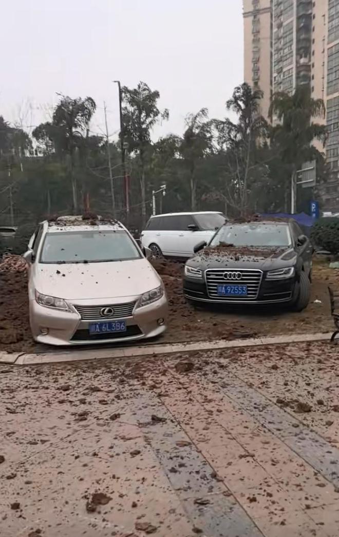 Vụ bé trai ném pháo làm nổ loạt xe sang Lincoln, Lexus, Porsche: Gia đình có phải "tán gia bại sản" để bồi thường?- Ảnh 2.