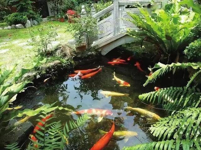 Biệt thự gần 2.000 tỷ của cố nữ sĩ Quỳnh Dao được hé lộ: Sân vườn rộng 600m2 cùng sân chơi bowling và rạp chiếu phim mini- Ảnh 6.