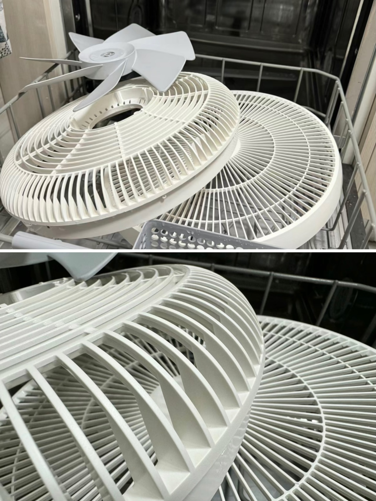 Ngày càng có nhiều người theo đuổi 