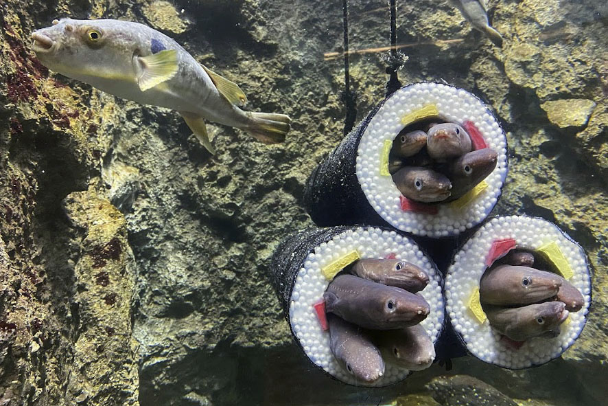 Bức ảnh m&oacute;n sushi khiến nhiều người "r&ugrave;ng m&igrave;nh" sợ h&atilde;i nhưng kh&ocirc;ng ngờ lại l&agrave; 1 "cơn sốt"- Ảnh 2.