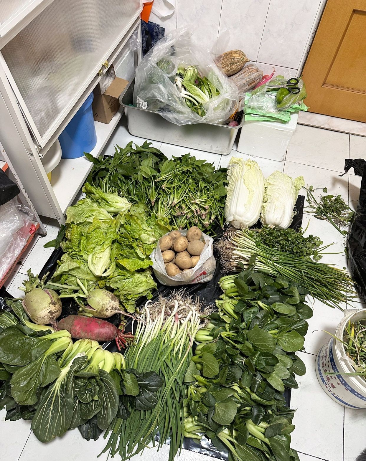 Tôi xin thề sẽ từ bỏ Tôi xin thề sẽ từ bỏ