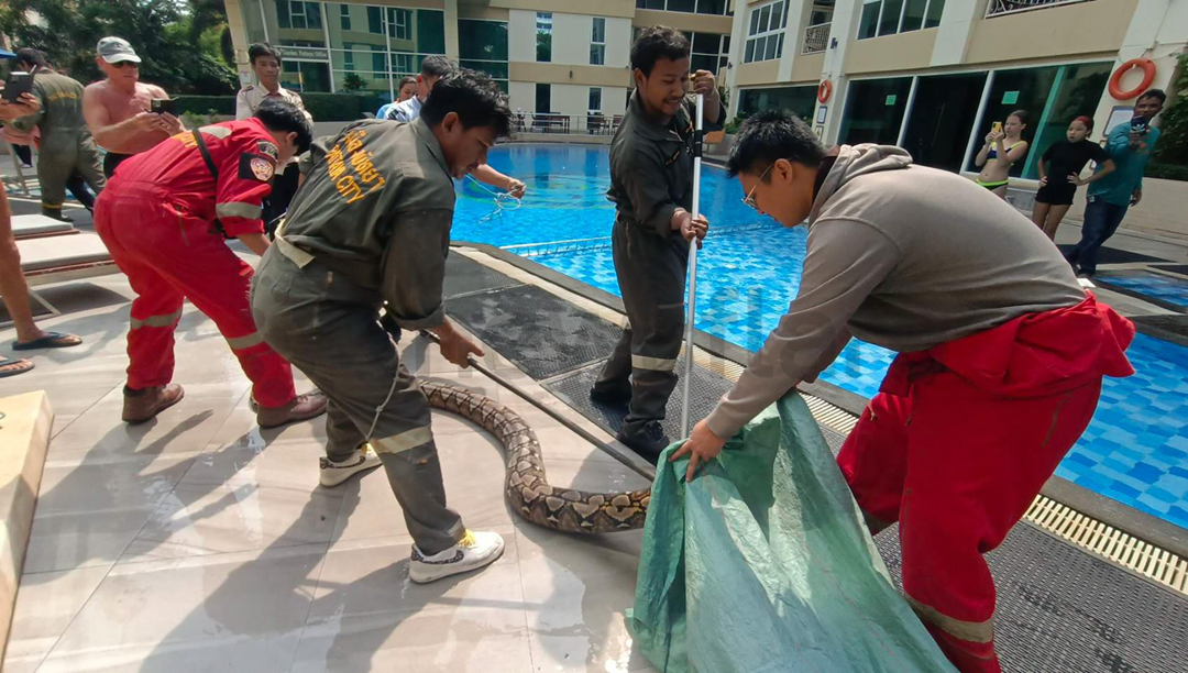 Người đàn ông tay không bắt sống 