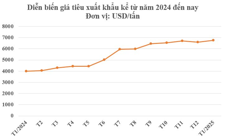 Một loại nông sản thế giới đang lên cơn khát nhưng Việt Nam sở hữu hơn 100.000 ha: Mỹ, Đức liên tục tìm mua, giá tăng phi mã- Ảnh 2.