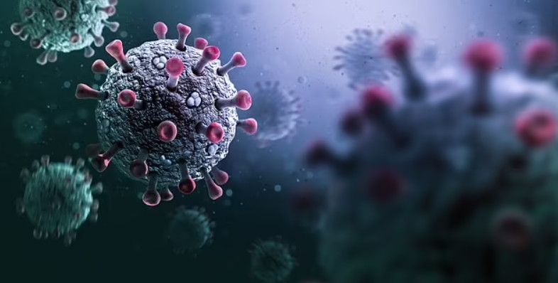 Các nhà khoa học khuyến cáo không thổi phồng nguy cơ từ virus mới giống Covid-19- Ảnh 1. Các nhà khoa học khuyến cáo không thổi phồng nguy cơ từ virus mới giống Covid-19- Ảnh 1.