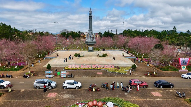 Măng Đen sẽ trở th&agrave;nh thị trấn mai anh đ&agrave;o- Ảnh 1.