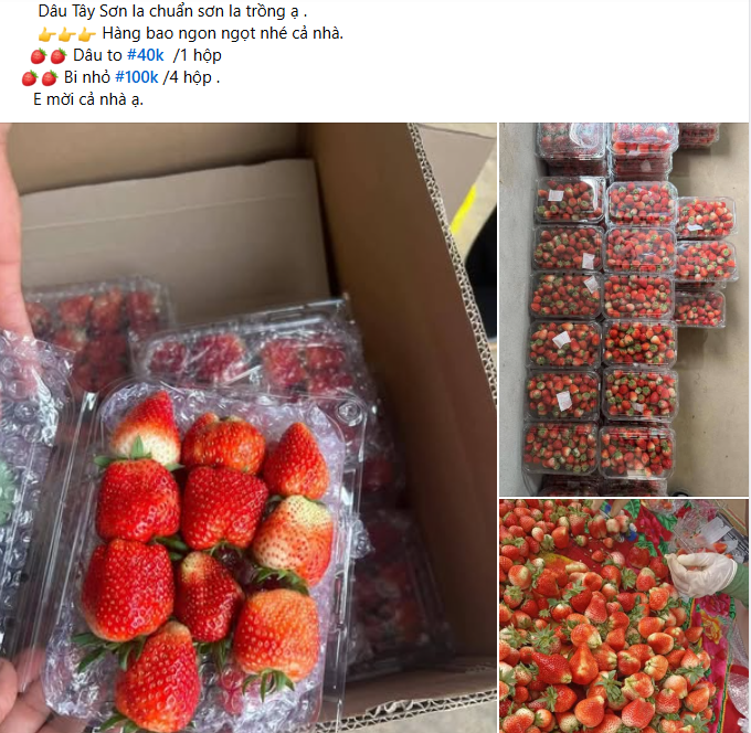 D&acirc;u t&acirc;y Sơn La ngập chợ, gi&aacute; rẻ chưa từng c&oacute;- Ảnh 1.