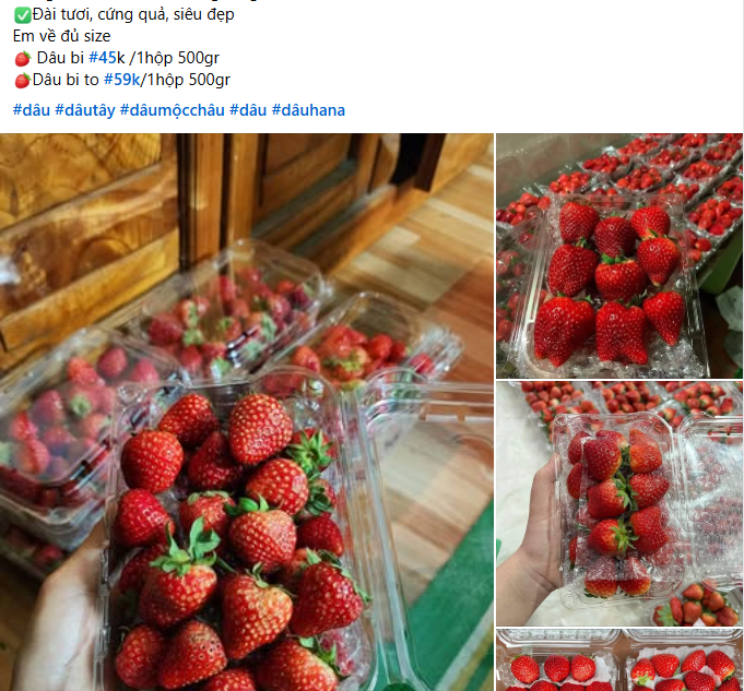 D&acirc;u t&acirc;y Sơn La ngập chợ, gi&aacute; rẻ chưa từng c&oacute;- Ảnh 2.