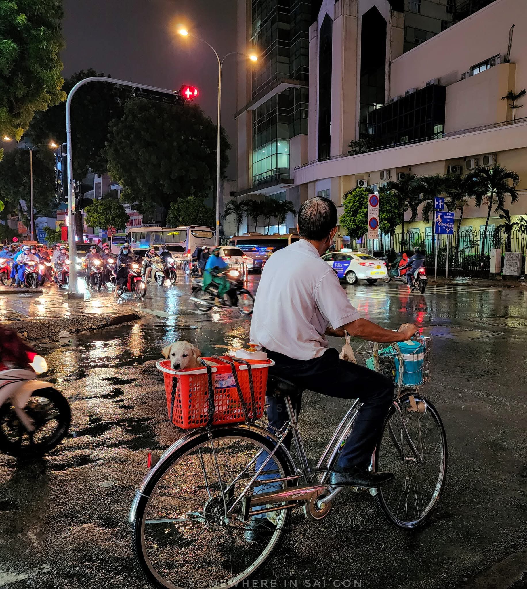 Người "bắt trộm" những khoảnh khắc viral khắp mạng xã hội: "Đất nước mình còn quá nhiều cảnh đẹp mà ta không thể lột tả hết"- Ảnh 16.