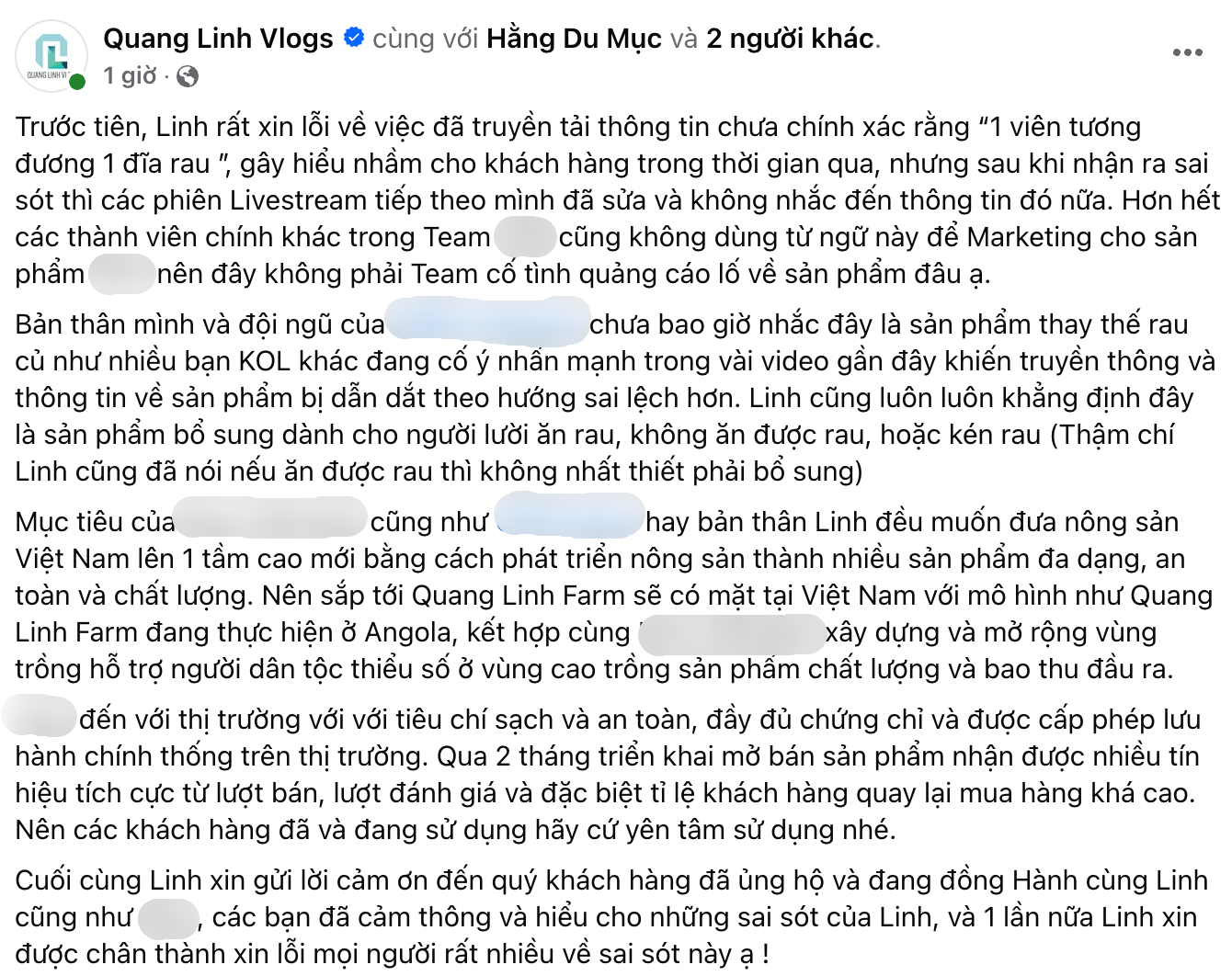 Quang Linh Vlogs xin lỗi vì màn quảng cáo quá lố: 1 viên kẹo bằng 1 đĩa rau- Ảnh 4.