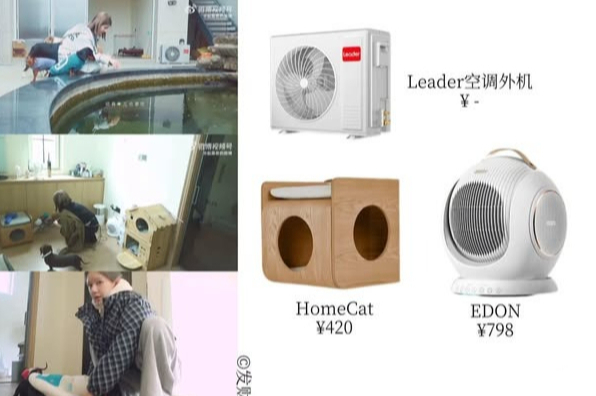 Triệu Lộ Tư đăng vlog mới, cả cõi mạng …
