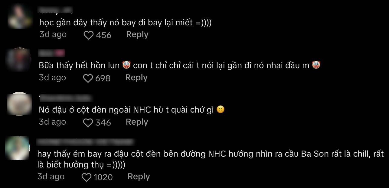 Lộ hình ảnh loài vật ở Thảo Cầm Viên "xổng" ra ngoài, đi khắp thành phố theo cách không ai ngờ tới- Ảnh 3.