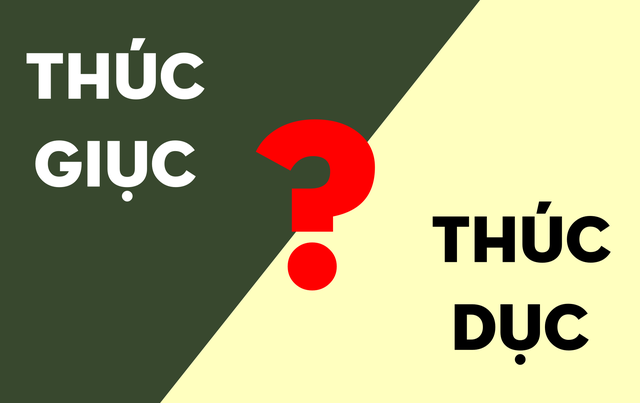 Câu hỏi "thúc dục" hay "thúc giục" mới là cách viết đúng? Nhiều học sinh giỏi cũng phải xin hàng- Ảnh 2.