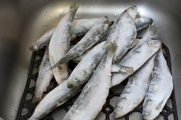 Sau 30 năm sống tr&ecirc;n đời, t&ocirc;i ph&aacute;t hiện một chuyện: R&atilde; đ&ocirc;ng c&aacute; bằng c&aacute;ch ng&acirc;m trong nước l&agrave; SAI LẦM!- Ảnh 3.