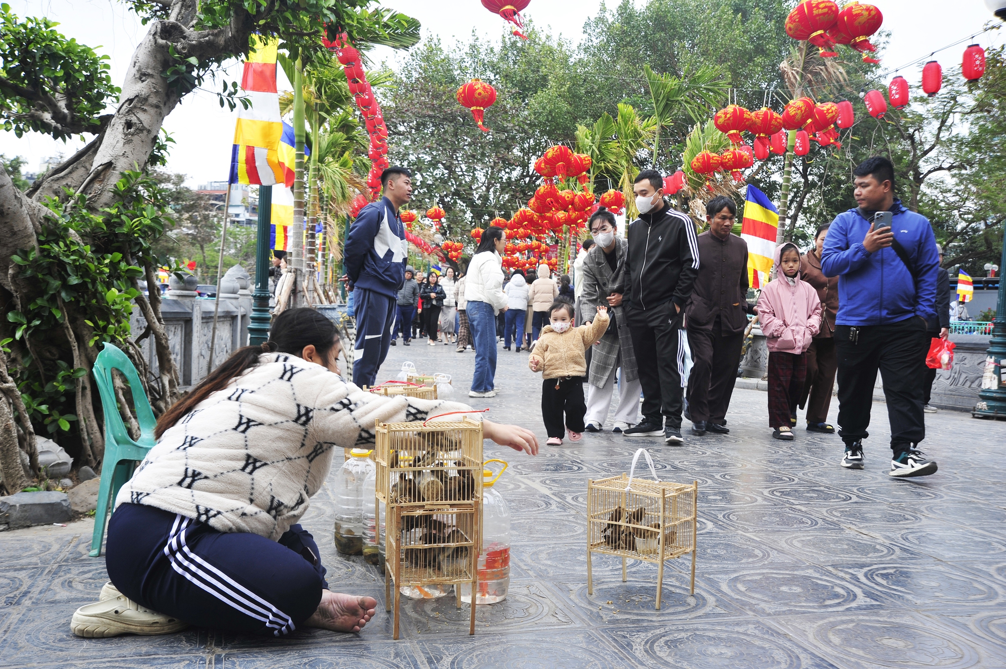 Hà Nội: Người dân phóng sinh cá và chim trước cổng chùa cầu may đầu năm mới- Ảnh 3.