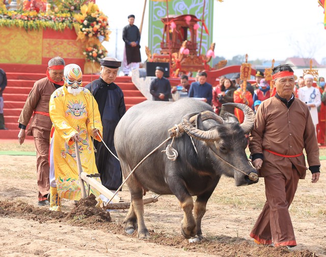 Ảnh: Hàng trăm người dân chen nhau xem "Vua đi cày" trong Lễ tịch Điền đầu năm- Ảnh 12.