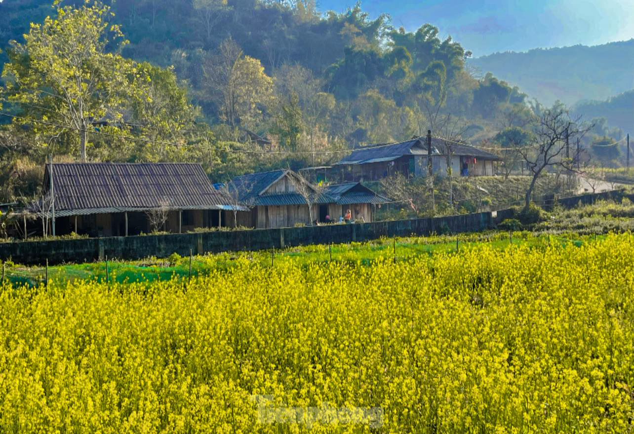 Những điểm du xuân đẹp nhất Tây Bắc ngay lúc này- Ảnh 27.