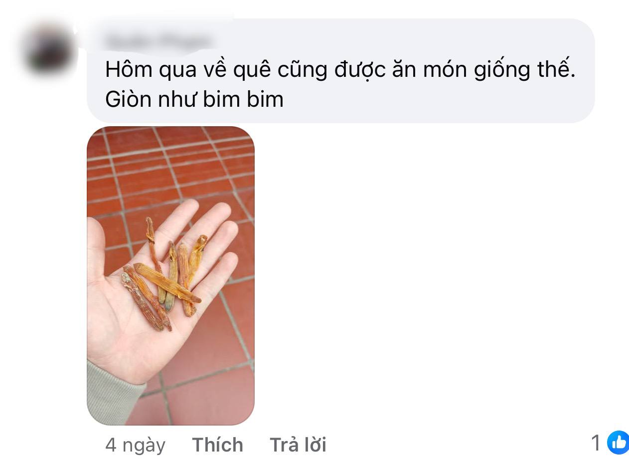 Bát mì tôm dọn tủ có giá vài triệu đồng của dân Quảng Ninh: Chẳng có thịt mấy mà ai xem xong cũng 