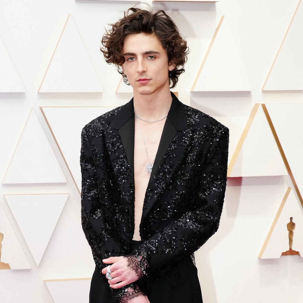 Timothée Chalamet liệu có thể chạm tay tới tượng vàng Oscar?- Ảnh 1.