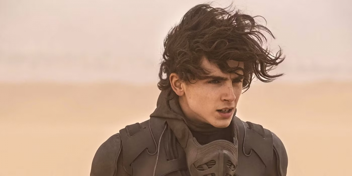 Timothée Chalamet liệu có thể chạm tay tới tượng vàng Oscar?- Ảnh 2.