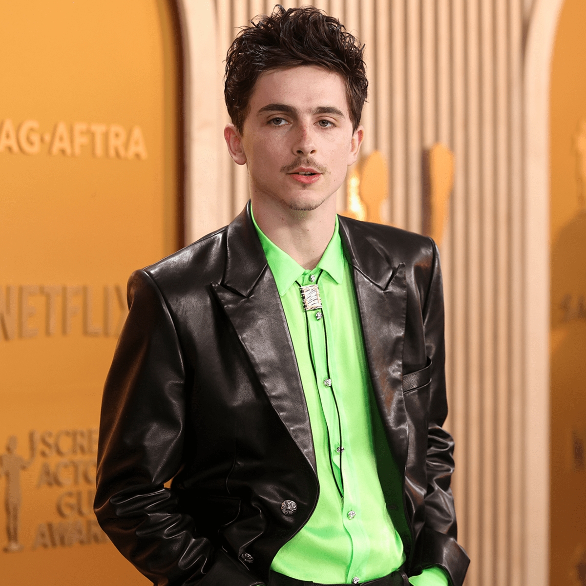 Timothée Chalamet liệu có thể chạm tay tới tượng vàng Oscar?- Ảnh 6.