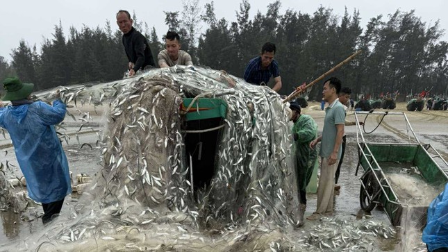 Vừa trúng đậm gần 1,5 tấn cá trích, tàu ngư dân bị sóng đánh lật- Ảnh 5.