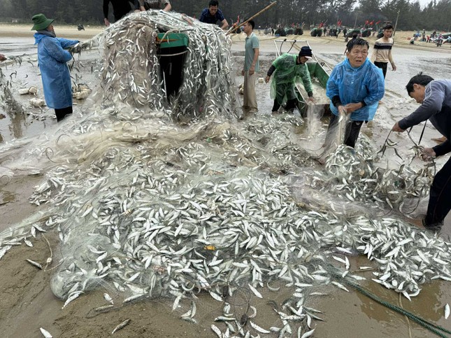 Vừa trúng đậm gần 1,5 tấn cá trích, tàu ngư dân bị sóng đánh lật- Ảnh 1.