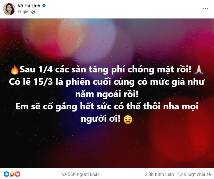 "Chiến thần" Hà Linh kêu trời vì sàn TMĐT "ồ ạt" tăng phí, thật lòng khuyên dân tình nhanh chóng làm 1 điều- Ảnh 1.