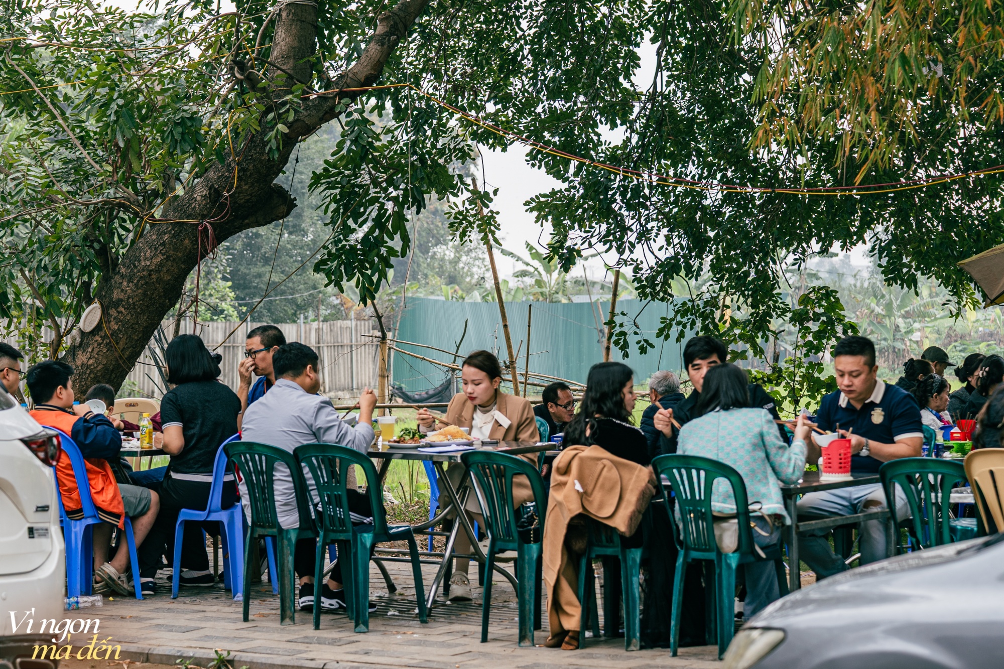 Lặn lội mấy chục cây số đi ăn thử "quán rặng tre" nức tiếng Đông Anh, xe ô tô xếp hàng dài, giờ cao điểm khách phải tự phục vụ- Ảnh 2.