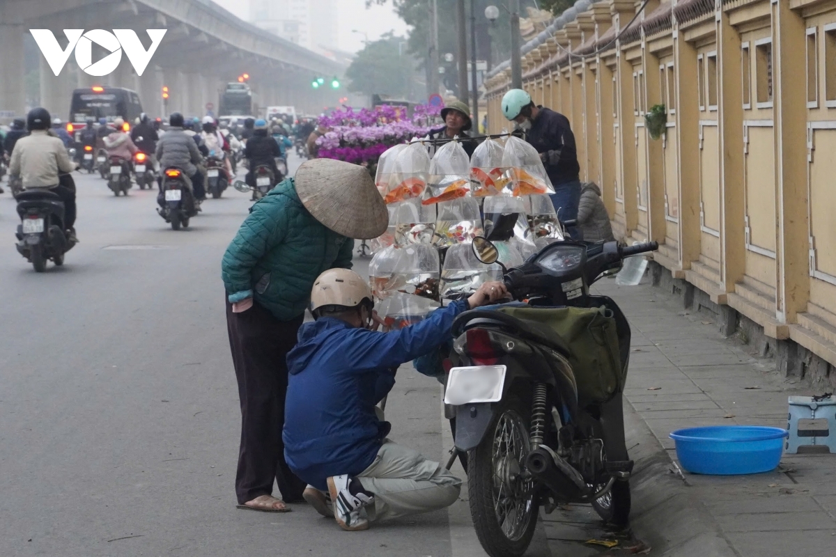 Nhan nhản sạp hàng tự phát ngang nhiên lấn chiếm lòng đường: Cơ quan chức năng ở đâu?- Ảnh 8.