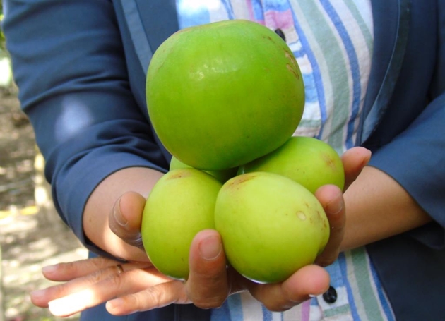 Chuyên trang ẩm thực Anh đánh giá đây là 3 trái cây tốt nhất thế giới: Việt Nam có đủ cả 3- Ảnh 1.