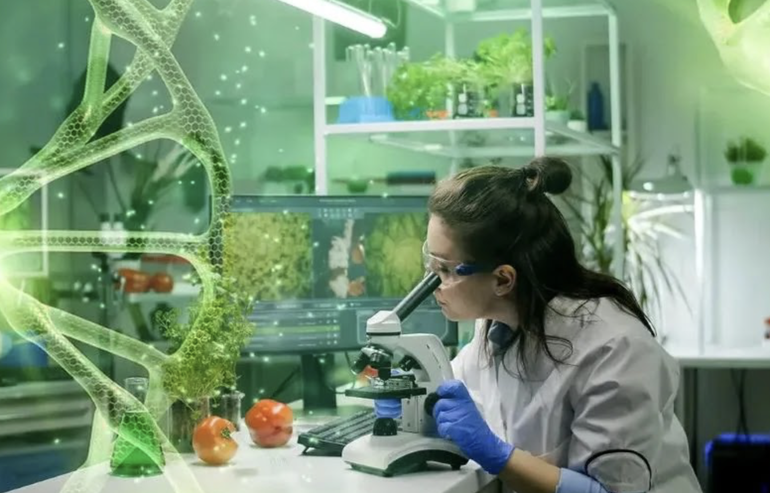 5 NGÀNH CÔNG NGHIỆP "cất cánh" nhờ AI - Mở ra kỷ nguyên mới, cơ hội LÀM GIÀU cho những ai thức thời nắm bắt!- Ảnh 3.