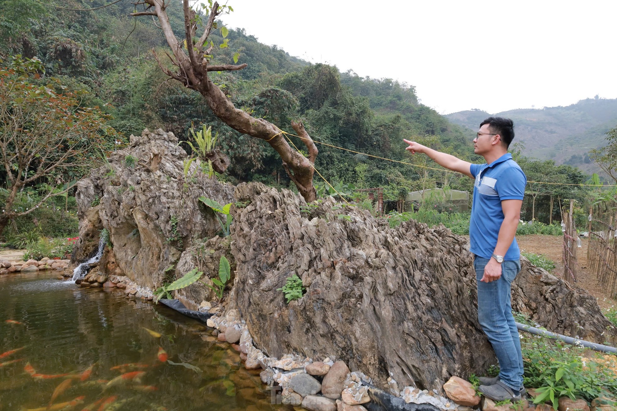 Chiêm ngưỡng khối đá giống gốc cây khổng lồ hóa thạch, được trả giá đến 18 tỷ đồng- Ảnh 2.