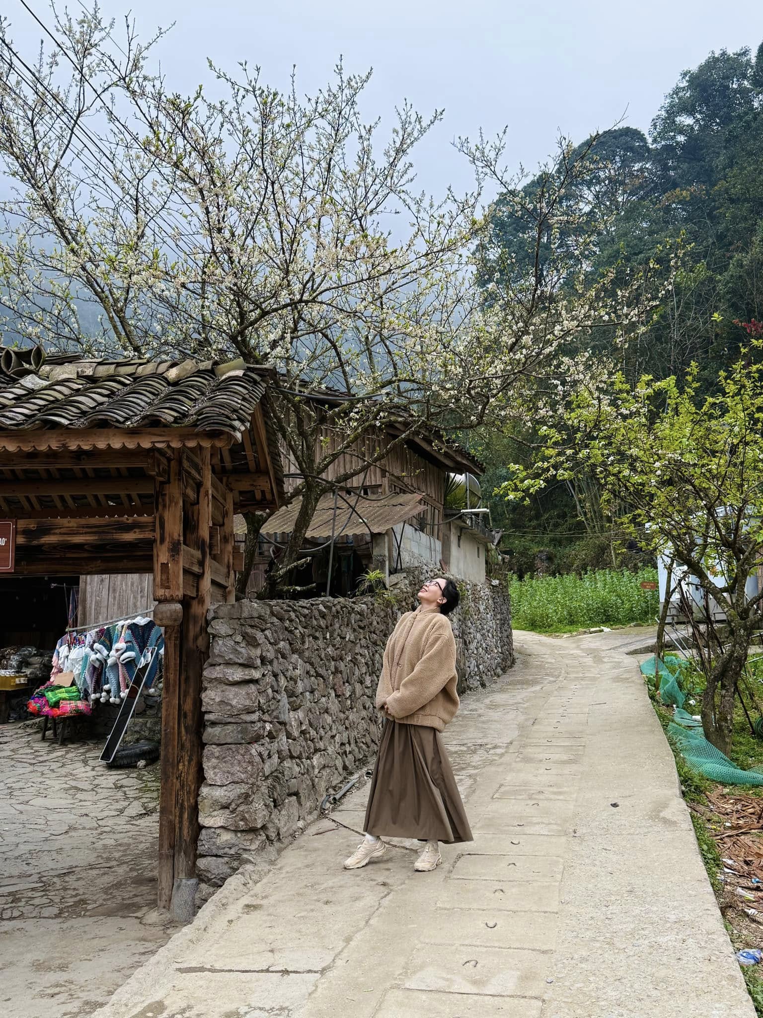 Đi Hà Giang mùa này có gì mà ca sĩ Tóc Tiên phải thốt lên: 