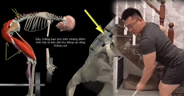 Một hành động tưởng đáng xấu hổ nhưng lại là 