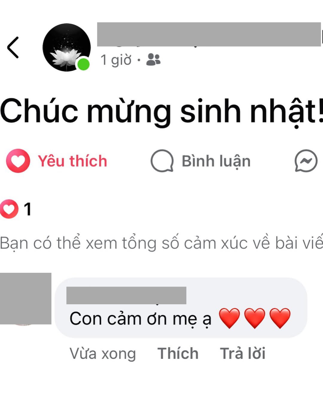 Tin nhắn mẹ chồng gửi con dâu được quan tâm nhất cõi mạng lúc này- Ảnh 2.