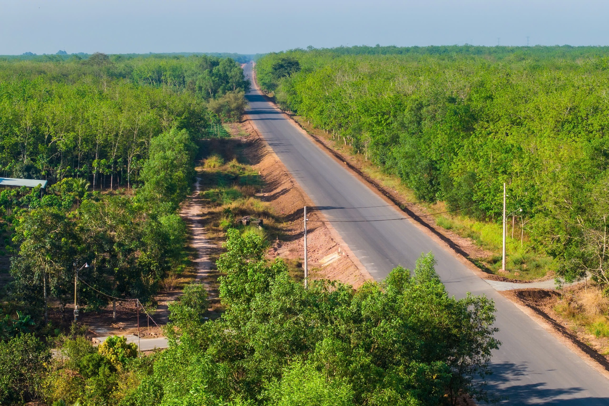 Hình ảnh hợp long cầu dài nhất trên đường Hồ Chí Minh- Ảnh 5.