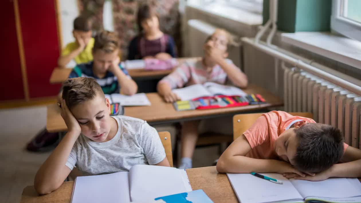 Cha mẹ th&ocirc;ng minh lu&ocirc;n l&agrave;m 6 điều n&agrave;y để gi&uacute;p con m&igrave;nh th&iacute;ch học- Ảnh 2.