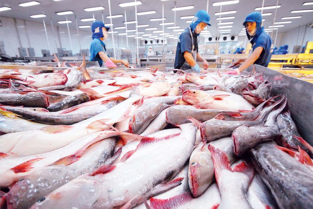 Mặt hàng Việt Nam xuất khẩu đứng đầu thế giới: DN đầu bảng chưa từng thay đổi suốt 10 năm qua- Ảnh 6.