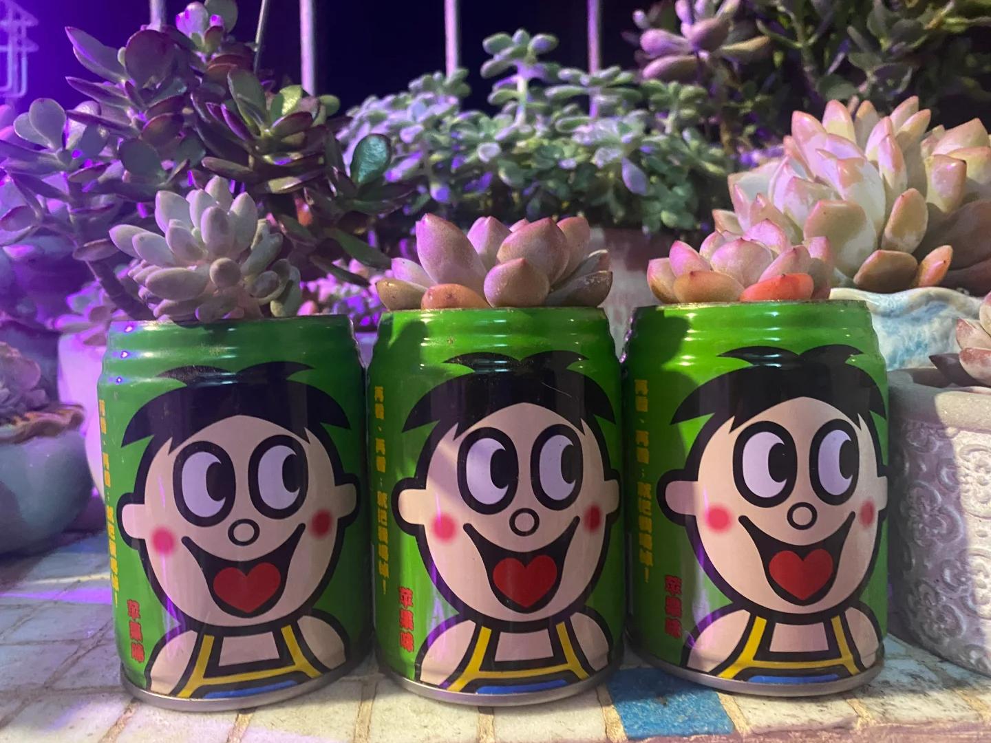 Tùy tiện chụp 1 bức ảnh, chàng trai bỗng nổi tiếng vì năng lực 