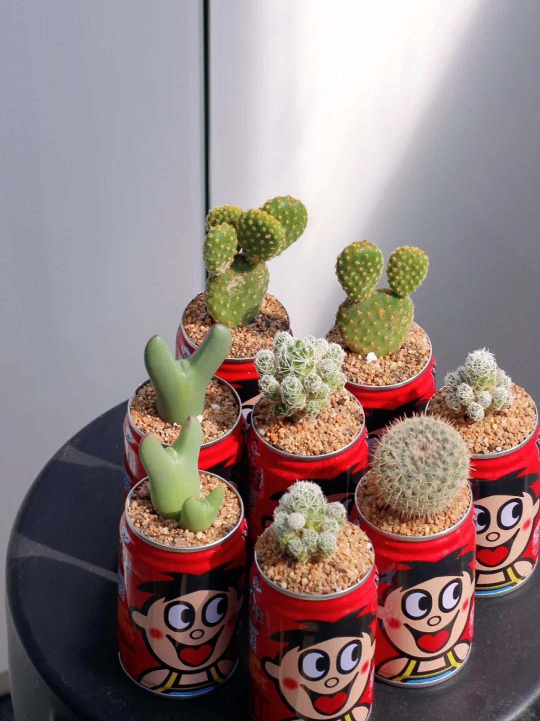 Tùy tiện chụp 1 bức ảnh, chàng trai bỗng nổi tiếng vì năng lực 