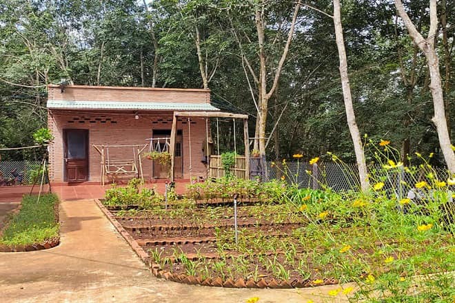 Bỏ phố vì 17 năm lập nghiệp ở Hà Nội nhưng trong túi chỉ có 11 triệu: 